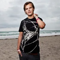 Fades Away - Avicii