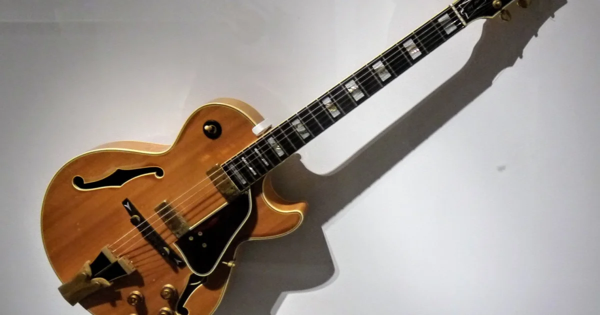 Header Banner Bonnie Raitt