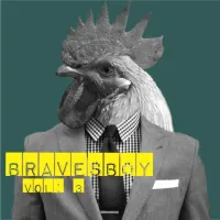 Bravesboy
