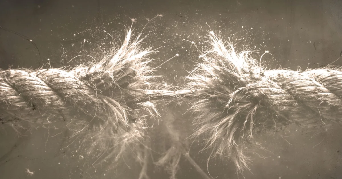 Header Banner Bryan Martin