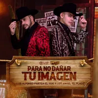 Sebatas Formalitas - Danar
