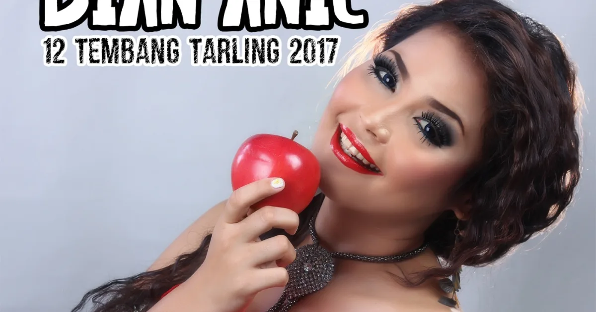 Header Banner Dian Anic