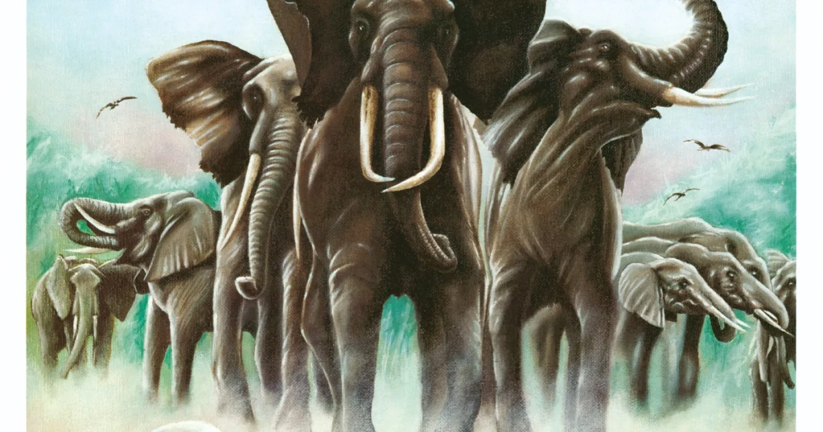Header Banner Elvis Costello & The Attractions