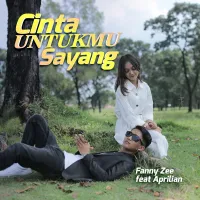 Sebatas Teman Biasa - Fany Zee