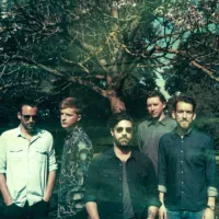 Foals