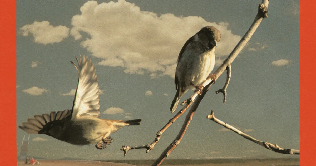 Header Banner Foxwarren