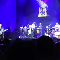 Gogol Bordello