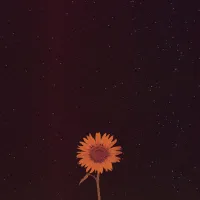 Known & Loved - Joel Ansett