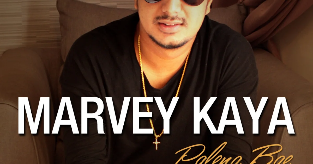 Header Banner Marvey Kaya