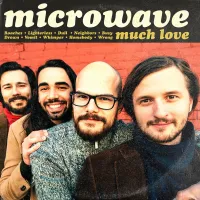 keeping up - Microwave