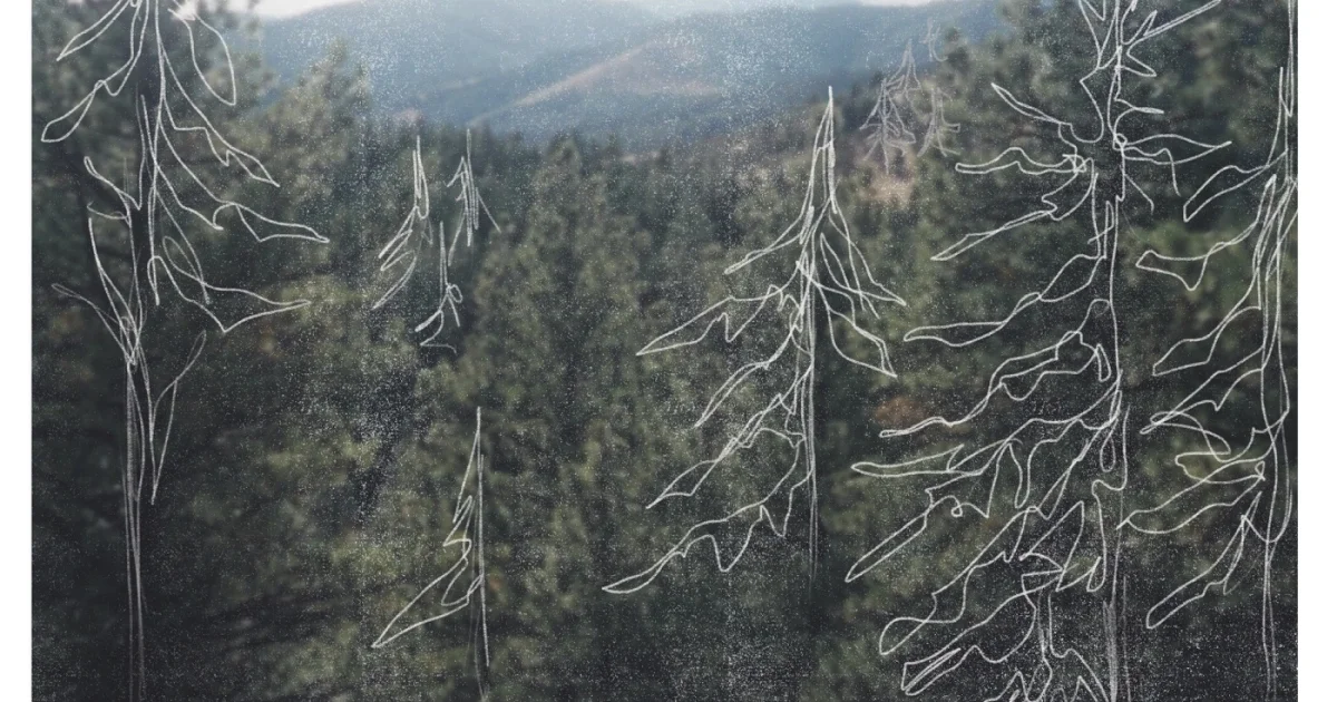 Header Banner Motherfolk