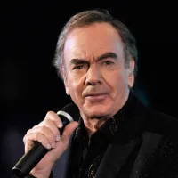 Stones ver. 2 - Neil Diamond