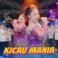 Mung Biso Nyawang - Niken Salindry