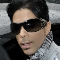 Dolphin - Prince