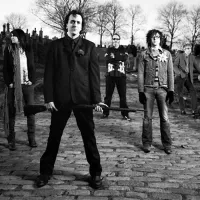 Born Into A Light - Ryan Adams & The Cardinals