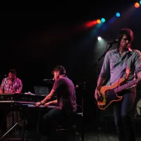 Seabird