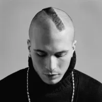 Something Stupid - Shawn Desman