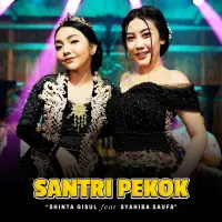 Shinta Gisul