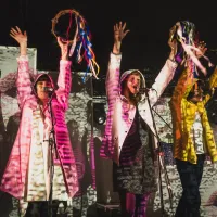 Superorganism