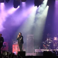 The Cult