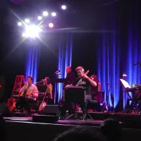 A Chicken - The Magnetic Fields