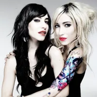 Dont Say Goodbye - The Veronicas